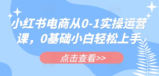小红书电商从0-1实操运营课，0基础小白轻松上手-非凡网-资源网-最新项目分享网站