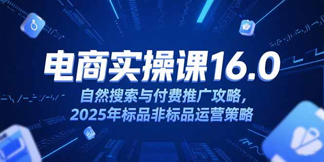 淘宝电商运营课16.0，自然搜索与付费推广攻略，2025年标品非标品运营策略-非凡网-资源网-最新项目分享网站
