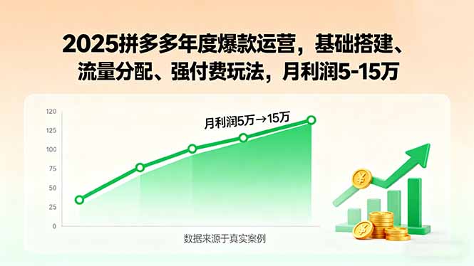 2025拼多多年度爆款运营，基础搭建、流量分配、强付费玩法，月利润5-15万-非凡网-资源网-最新项目分享网站