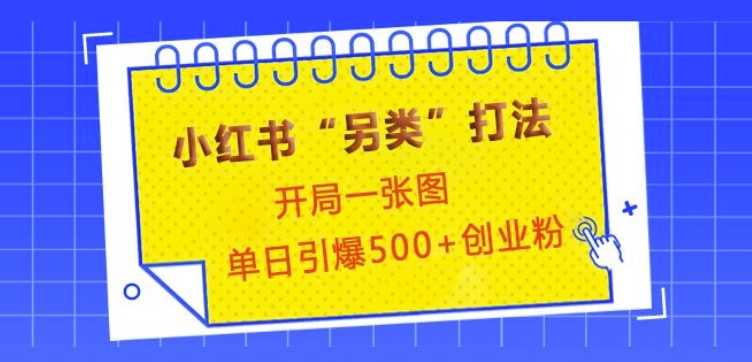 小红书“另类”打法，开局一张图，单日引爆500+精准创业粉【揭秘】-非凡网-资源网-最新项目分享网站