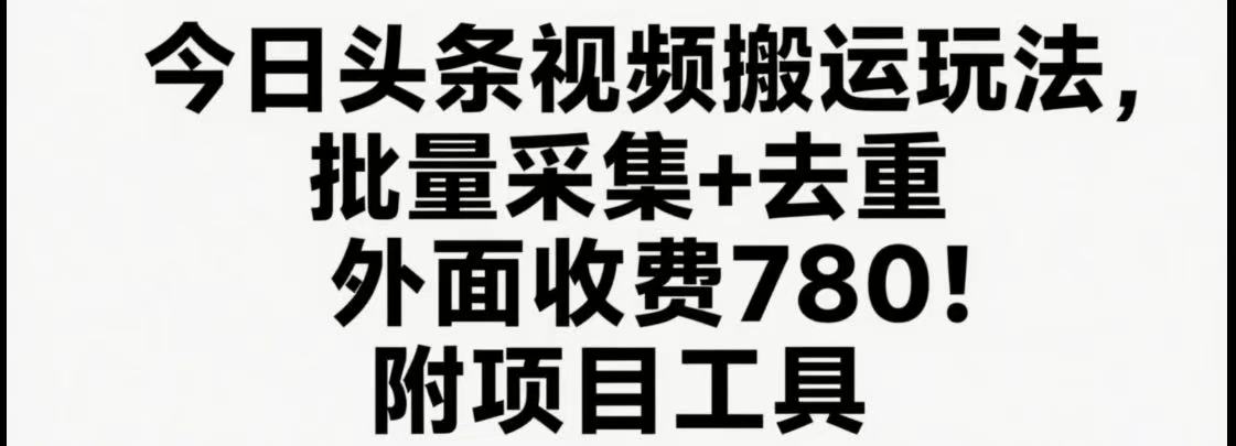 今日头条视频搬运玩法，软件一键去重，轻松日入500+附项目工具-非凡网-资源网-最新项目分享网站