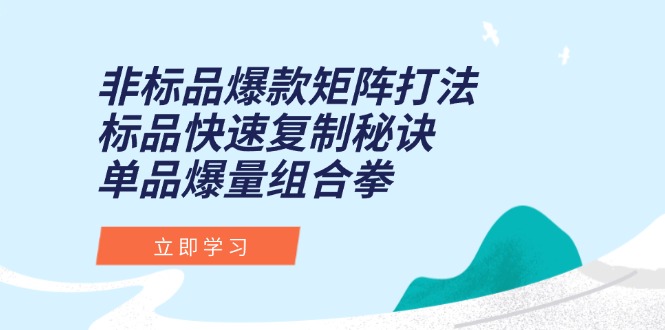 非标品爆款矩阵打法，标品快速复制秘诀，单品爆量组合拳-非凡网-资源网-最新项目分享网站
