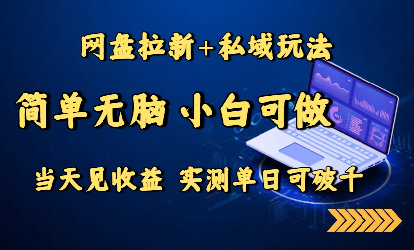 网盘拉新+私域玩法，简单无脑，小白可做，当天见收益，实测单日可破千-非凡网-资源网-最新项目分享网站