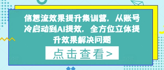 信息流效果提升集训营，从账号冷启动到AI提效，全方位立体提升效果解决问题-非凡网-资源网-最新项目分享网站