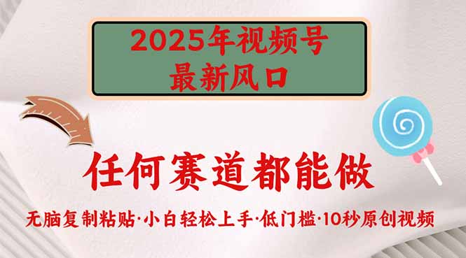 2025年视频号新风口，低门槛只需要无脑执行-非凡网-资源网-最新项目分享网站
