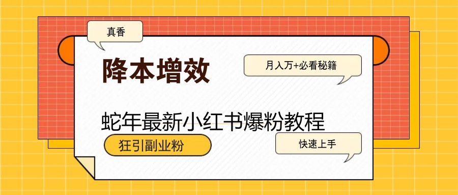 蛇年最新小红书爆粉教程，狂引副业粉，月入万+必看-非凡网-资源网-最新项目分享网站