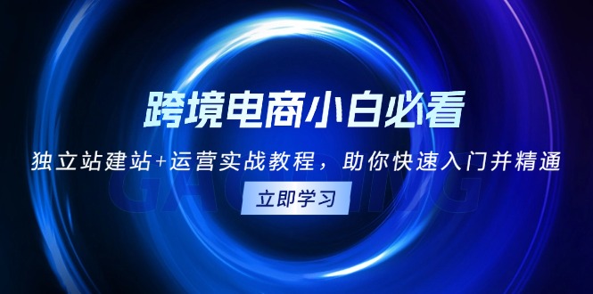 跨境电商小白必看！独立站建站+运营实战教程，助你快速入门并精通-非凡网-资源网-最新项目分享网站