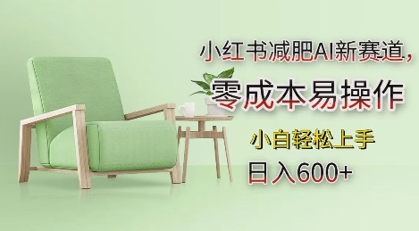 小红书减肥AI新赛道，零成本易操作，日入多张，小白轻松上手【揭秘】-非凡网-资源网-最新项目分享网站