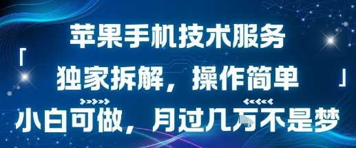 苹果手机技术服务，独家拆解，操作简单，小白可做，月过1W不是梦-非凡网-资源网-最新项目分享网站