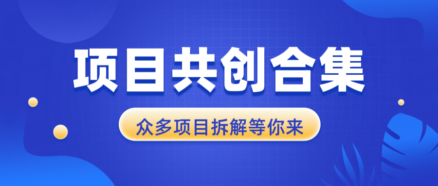 项目共创合集，从0-1全过程拆解，让你迅速找到适合自已的项目-非凡网-资源网-最新项目分享网站