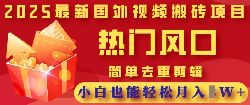 2025最新视频搬砖项目，热门风口，简单去重剪辑，小白也能轻松月入过W-非凡网-资源网-最新项目分享网站