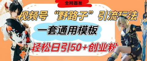 视频号“野路子”玩法，评论区疯狂截流，一套模板单日单号引流50+创业粉-非凡网-资源网-最新项目分享网站