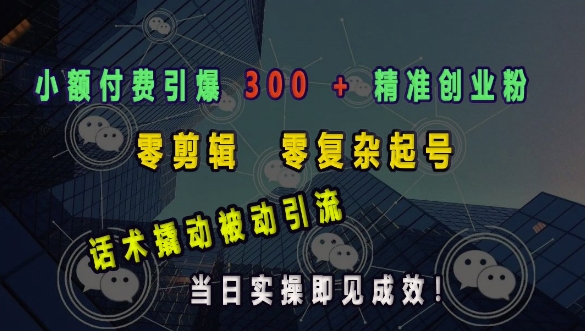 小额付费引爆 300 + 精准创业粉，零剪辑、零复杂起号，话术撬动被动引流，当日实操即见成效-非凡网-资源网-最新项目分享网站