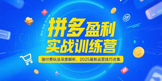 拼多多盈利实战训练营，强付费玩法深度解析，2025运营技巧合集-更新6月-非凡网-资源网-最新项目分享网站