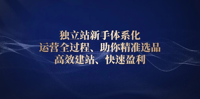 独立站新手体系化 运营全过程，助你精准选品、高效建站、快速盈利-非凡网-资源网-最新项目分享网站