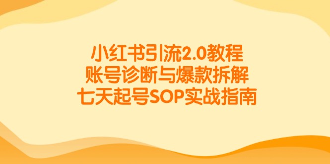 小红书引流2.0教程，账号诊断与爆款拆解，七天起号SOP实战指南-非凡网-资源网-最新项目分享网站