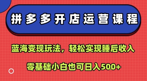 拼多多开店运营课程：蓝海变现玩法，轻松实现睡后收入，零基础小白也可日入5张-非凡网-资源网-最新项目分享网站