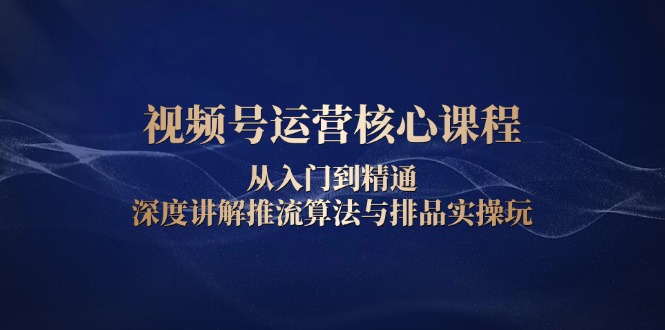 视频号运营核心课程，从入门到精通，深度讲解推流算法与排品实操玩-非凡网-资源网-最新项目分享网站