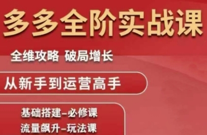 拼多多全阶实战课程，全维攻略，破局增长，从新手到运营高手-非凡网-资源网-最新项目分享网站