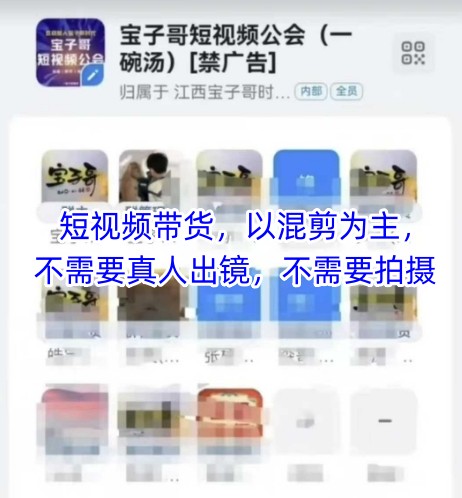 宝子哥头部团队短视频带货，以混剪为主，不需要真人出镜，不需要拍摄【更新】-非凡网-资源网-最新项目分享网站