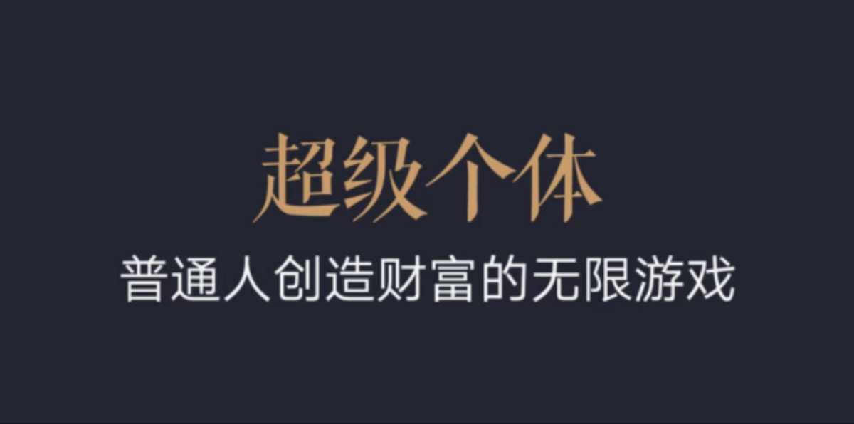 超级个体：2024-2025翻盘指南，普通人创造财富的无限游戏-非凡网-资源网-最新项目分享网站