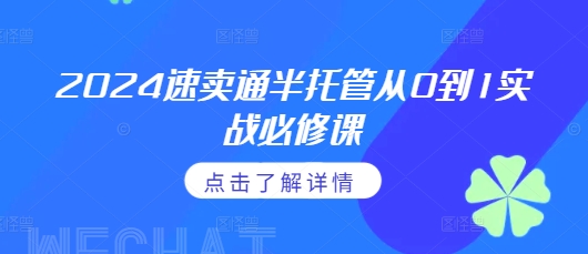 2024速卖通半托管从0到1实战必修课，掌握通投广告打法、熟悉速卖通半托管的政策细节-非凡网-资源网-最新项目分享网站