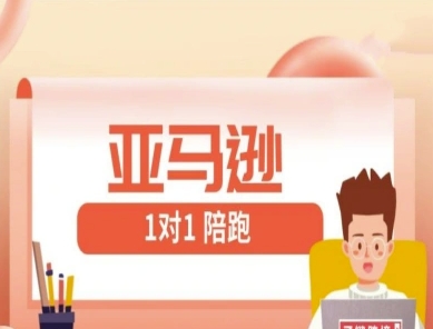 亚马逊1对1陪跑课(FBA/FBM精铺)跨境亚马逊教程-非凡网-资源网-最新项目分享网站
