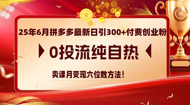 25年6月拼多多最新日引300+付费创业粉，0投流纯自热 卖课月变现六位数方法-非凡网-资源网-最新项目分享网站