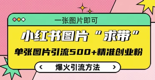 小红书图片‘求带’爆火引流法，单张图片引流500+精准创业粉【揭秘】-非凡网-资源网-最新项目分享网站