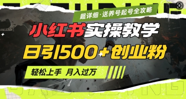 2月小红书最新日引500+创业粉实操教学【超详细】小白轻松上手，月入1W+，附小红书养号起号SOP-非凡网-资源网-最新项目分享网站