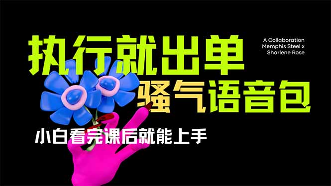 爆火全网的开车导航骚气语音包,只要执行就出单，小白看完课程就能实操…-非凡网-资源网-最新项目分享网站