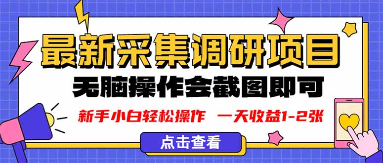 新版采集调研项目，截图上传即可，无脑操作，日收益1-2张-非凡网-资源网-最新项目分享网站