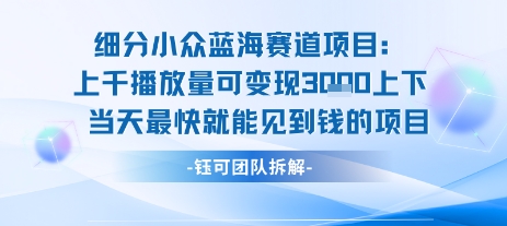 小众蓝海赛道项目：当天变现1k+适合新手操作 +适合长期玩-非凡网-资源网-最新项目分享网站