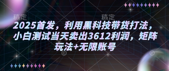 2025首发，利用黑科技带货打法，小白测试当天卖出3612利润，矩阵玩法+无限账号【揭秘】-非凡网-资源网-最新项目分享网站