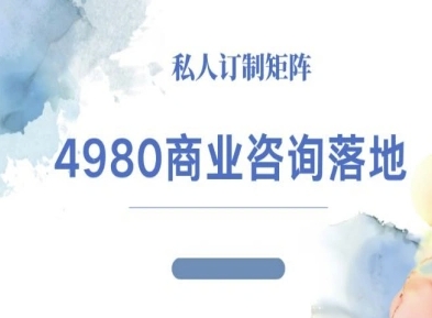 4980商业咨询师落地课程-ip运营高客单教程-非凡网-资源网-最新项目分享网站