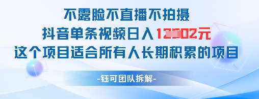 不露脸不直播不拍摄抖音单条视频日入1k+这个项目适合所有人长期积累的项目-非凡网-资源网-最新项目分享网站