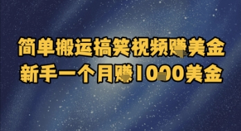 简单搬运搞笑视频挣美金，新手一个月入1k美金-非凡网-资源网-最新项目分享网站