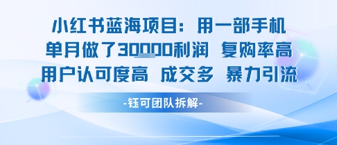 小红书蓝海项目，一部手机单月做了3W利润，小白也能月入过1W用户认可度高成交多-非凡网-资源网-最新项目分享网站