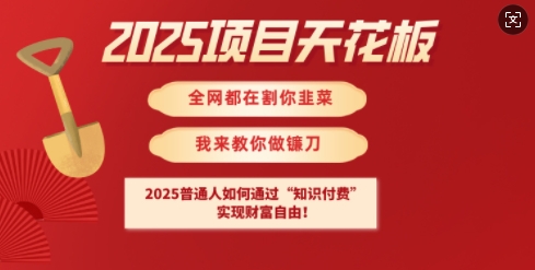 2025项目天花板普通人如何通过知识付费，实现财F自由【揭秘】-非凡网-资源网-最新项目分享网站